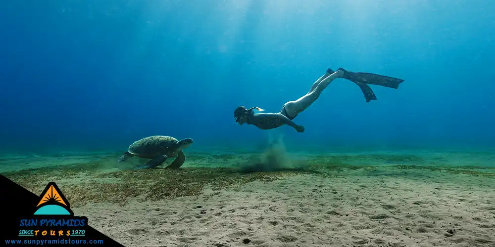 the Underwater World at Abu Dabbab